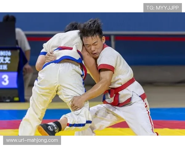 黑龙江省手球锦标赛专业工作人员全力支持确保赛事顺利进行