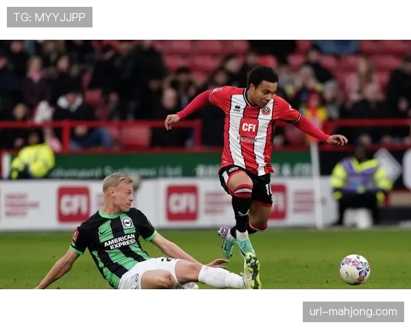 报道:纽卡斯尔联伤兵满营,对阵水晶宫或将摆出务实防守阵型